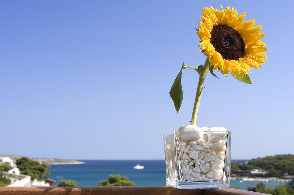 Plaza Vouliagmeni Strand Hotel Vari-Voula-Vouliagmeni Bagian luar foto